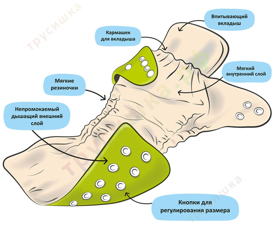 Трусишка Классика для приучения Деловой лис (бамбук)